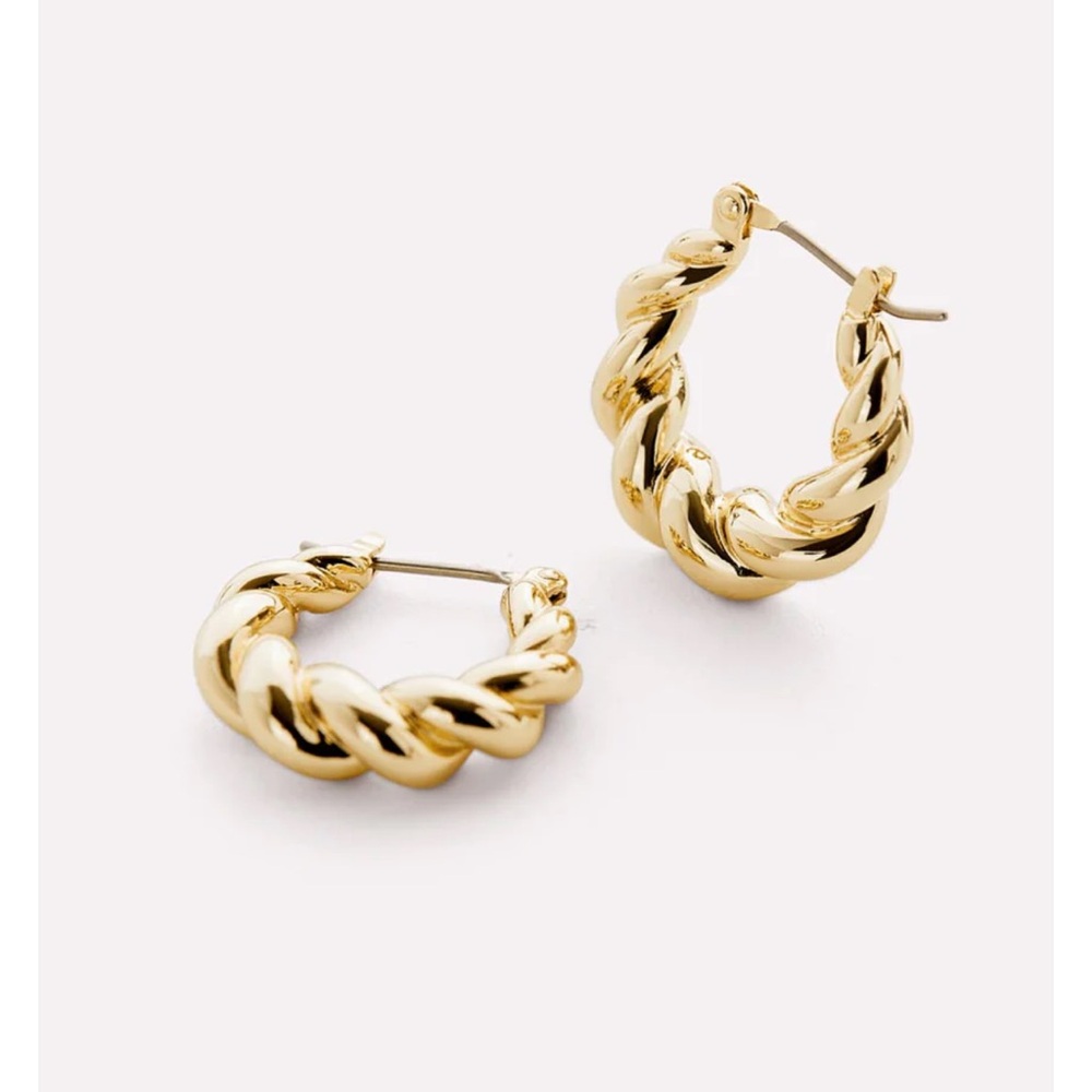 Ana Luisa Paris earrings